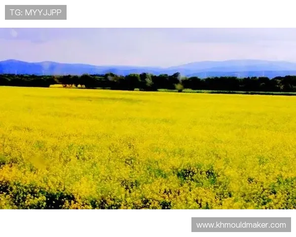 BG大游真人登录线路安全稳定，畅享无忧游戏体验的最佳选择