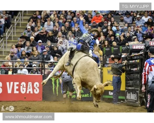 真人斗牛游戏平台免费试玩，零门槛体验丰富多样的斗牛玩法乐趣无限